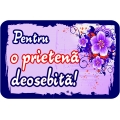 Magnet dedicatie, Pentru o prietena deosebita!